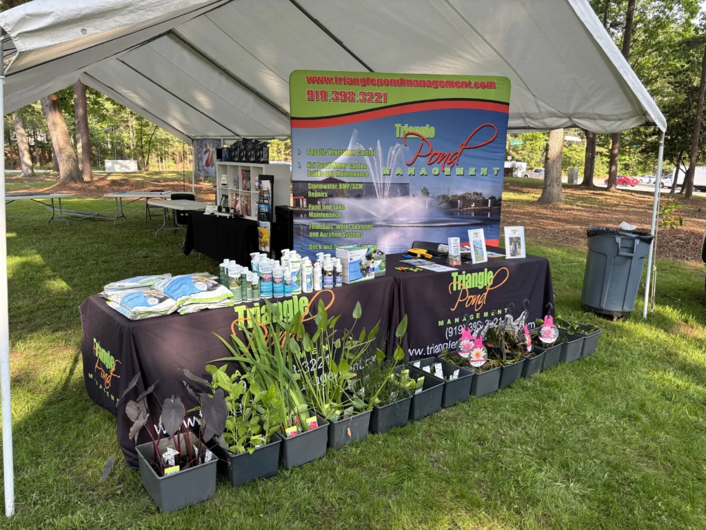 A welcoming Triangle Pond Management booth at the ZNA Carolina Koi Show, displaying lush aquatic plants and Aquascape pond products on a neatly arranged table, inviting visitors to explore pond solutions.