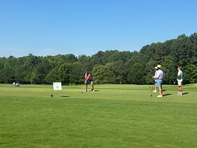 Golfers on a lush green course, with one swinging a club and others watching.