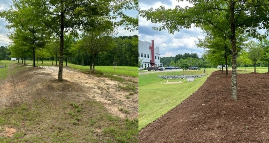 Two photos showing before and after Triangle Pond Management conducted a turf remediation.