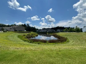  A serene wet detention pond with established aquatic vegetation, surrounded by green grass and modern townhomes, under a clear blue sky with fluffy white clouds.