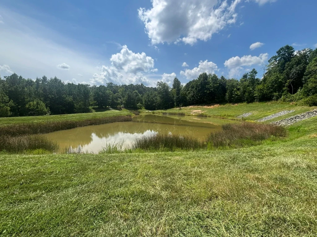 A tranquil wet detention pond with lush green slopes and dense trees in the background, reflecting the sky, demonstrating successful vegetation management and stormwater control.