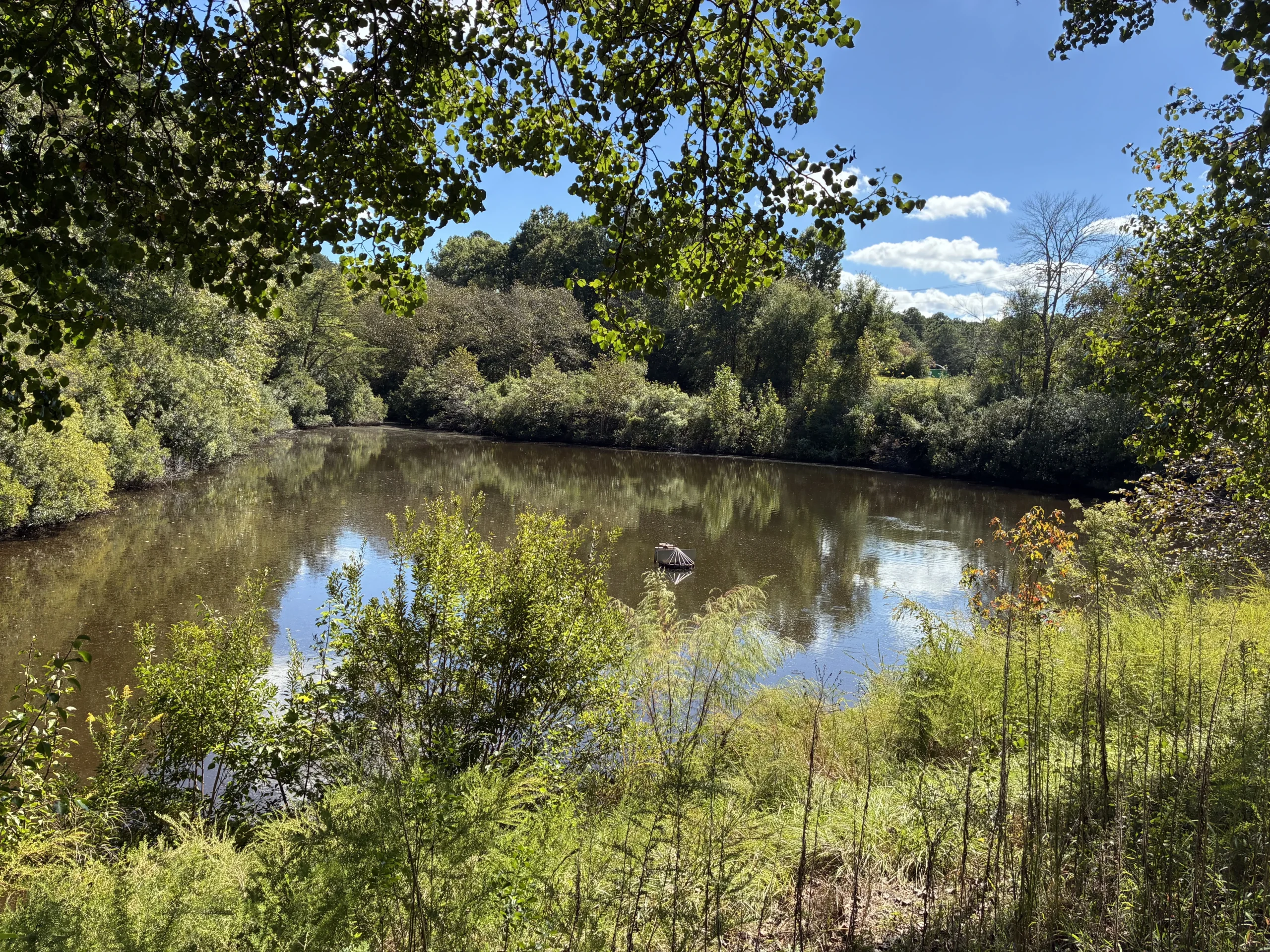 Clear pond surface with no duckweed, showcasing restored open water and natural beauty after treatment by Triangle Pond Management, taken in an after photo.