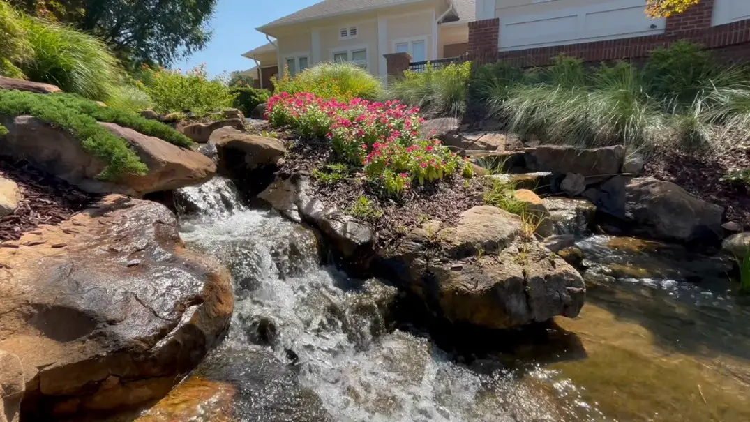 Professionally maintained backyard stream and waterfall with natural stone, flowing water, and colorful landscaping.